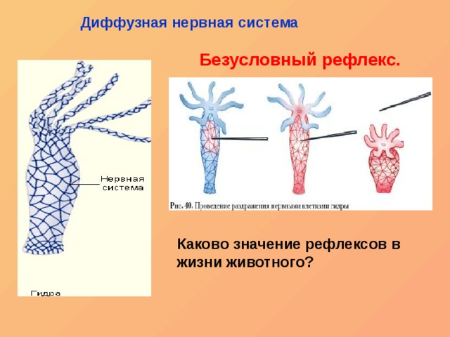 Mega ссылка тор megadarknet de